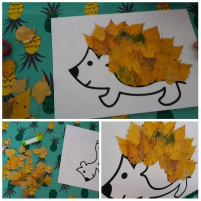 hedgehog14