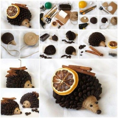 hedgehog21
