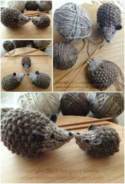 hedgehog16