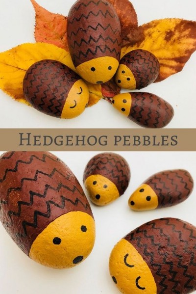 hedgehog12