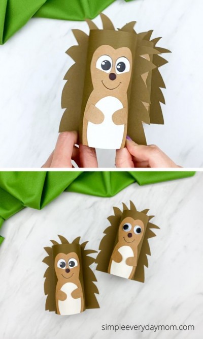 hedgehog15