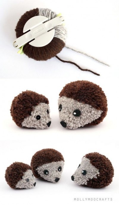 hedgehog13