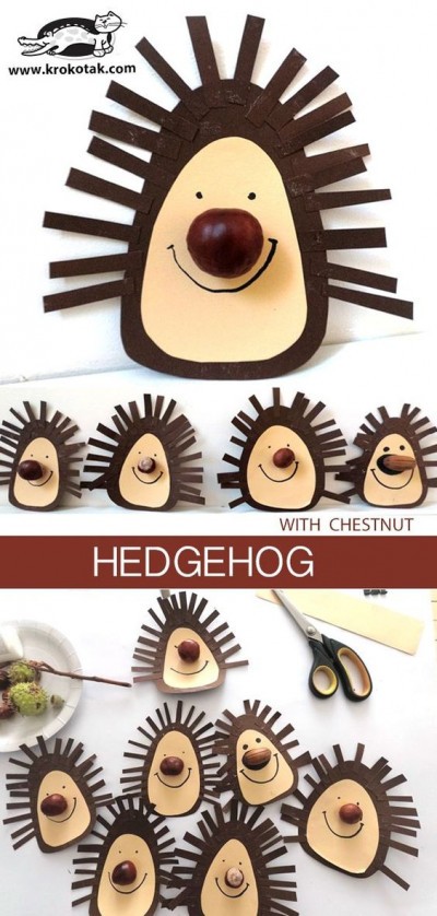 hedgehog04