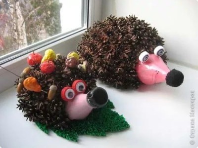 hedgehog18