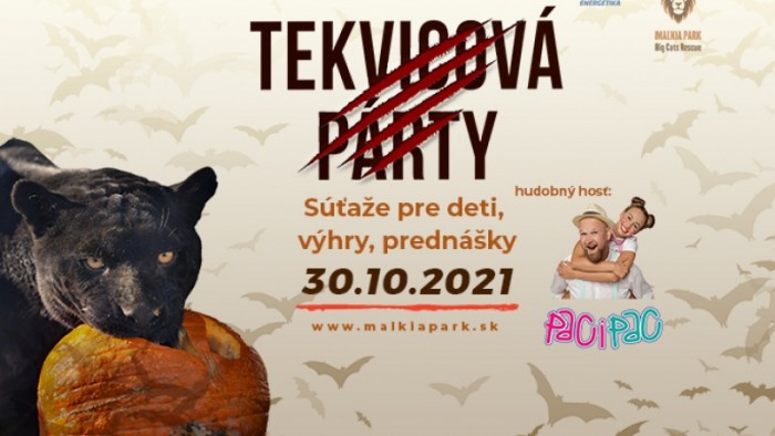 tekvicova party v malkia parku 1841581399