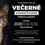 Vecerne komentovane prehliadky