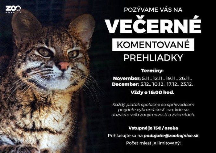 Vecerne komentovane prehliadky