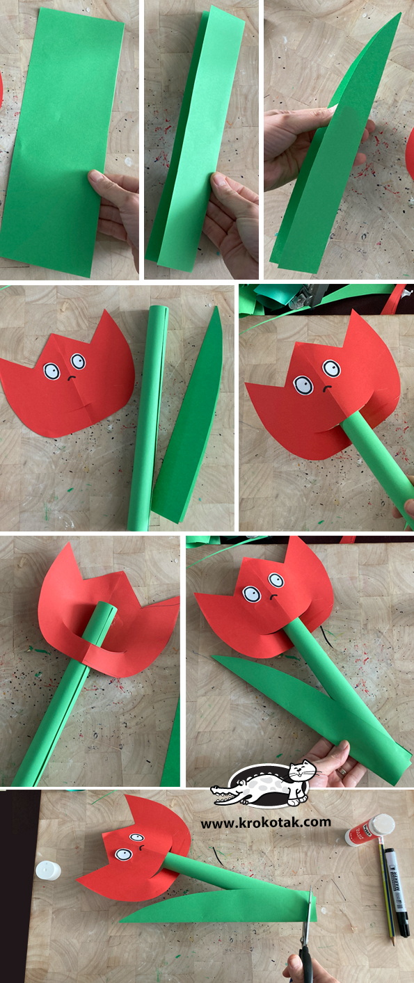 tulip5