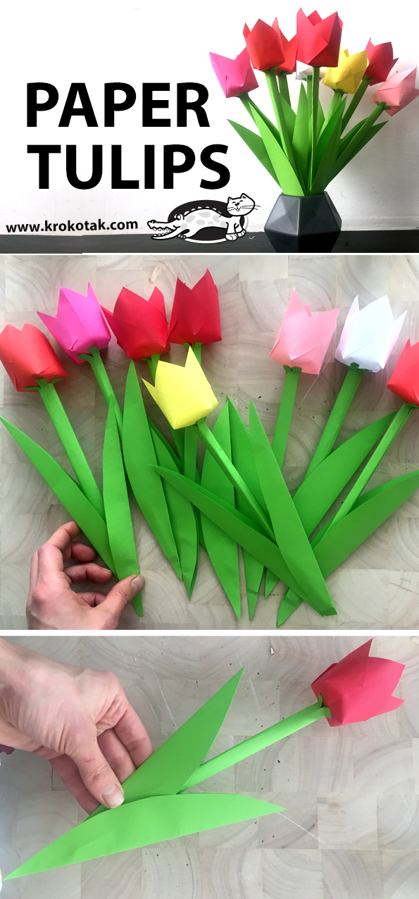 tulip6