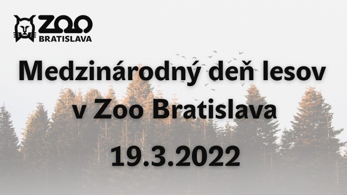 275914498 5763722166977340 8072910451895488515 n