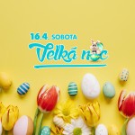 VELKA NOC WEB N