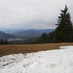 IMG 20220416 155647283