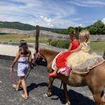 IMG 0090 1