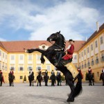 Moments in Black auf Schloss HofMichaela Mejta 21