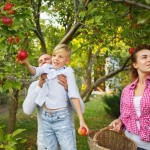 happy young family during picking berries garden outdoors love family lifestyle harvest autumn concept cheerful healthy lovely