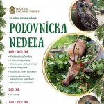 polovnicka nedela v