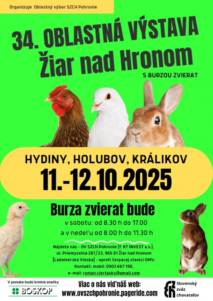 561215897 681638531644750 1853936664656222324 n