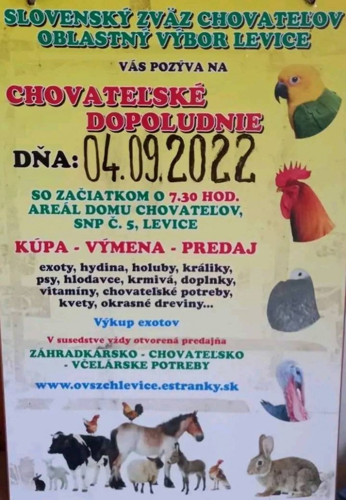 301924927 7927531650653437 6002394150969120570 n2