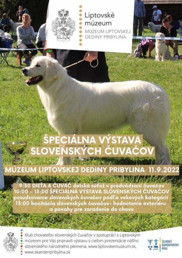 large vystava cuvacov pribylina