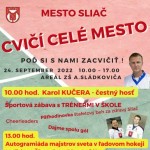 cvici cele mesto 3