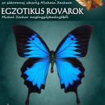 zachar plakat