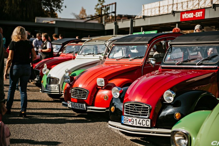 309366627 10160774926832868 253298238233150564 n