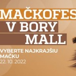 mackofest1