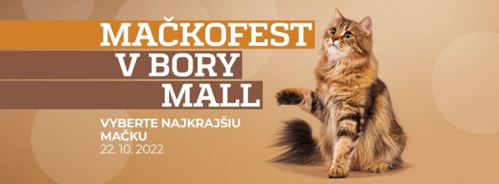 mackofest1