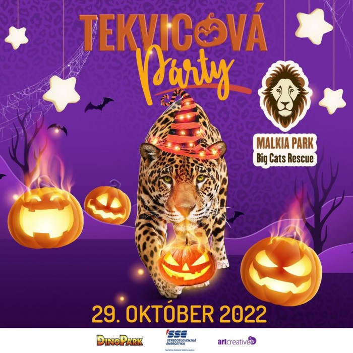 tekvicova party 22 malkia park