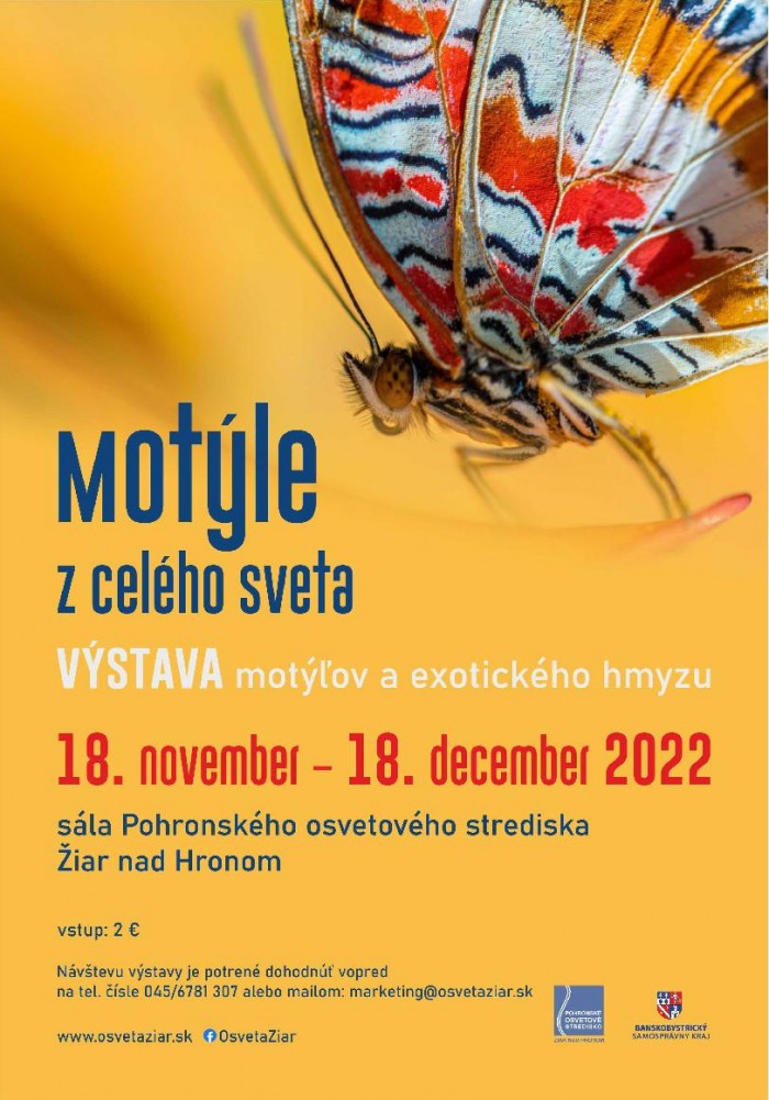 motyle z celeho sveta