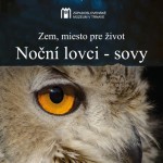 Nocni lovci sovy TT23