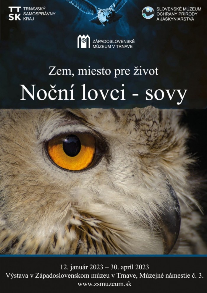 Nocni lovci sovy TT23