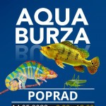 aqua burza poprad