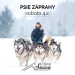 psie zaprahy vo vernari podujatie 14821 upload full