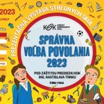 Spravna volba povolania 1