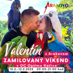 VALENTiN v optime