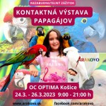 IMG 20230323 WA0004