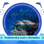 FB IMG 1688988293866