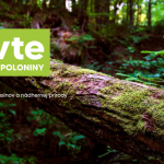 poloniny