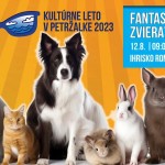 FB IMG 1690917885457