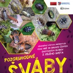webFINAL Svaby plagat