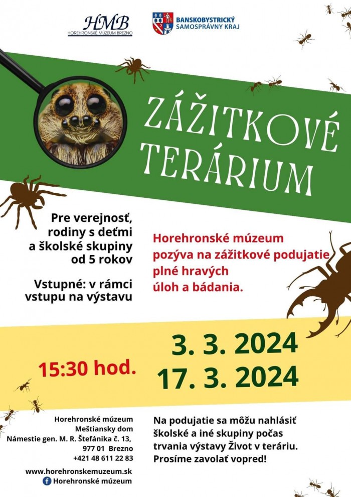 FB IMG 1709239046636