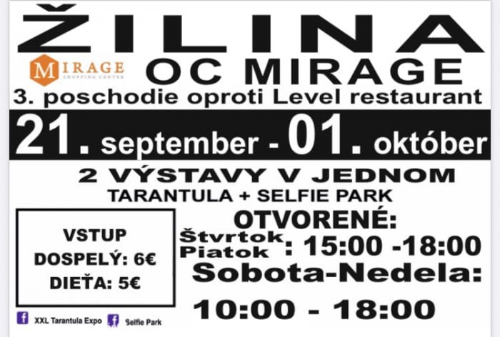 zilinatara