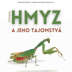 Hmyz