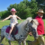 6 Unique cMarkus Eitzinger Schloss Hof Ponyreiten