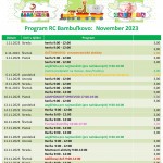 rc bambulkovo november23