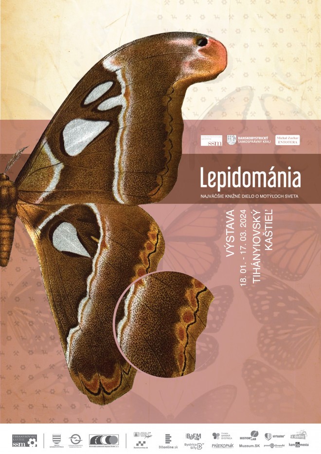 lepido