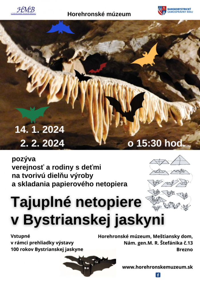 Plagat Tajuplne netopiere 724x1024