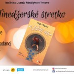 Tinedzerske stretko debata o knihe Totalny ulet 19.1.24 TT