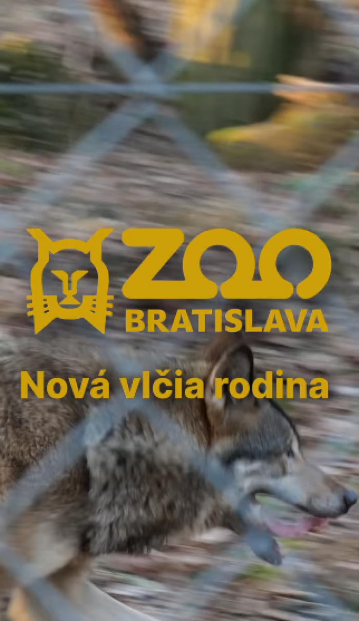 419728794 835330305033384 1889110998095057001 n